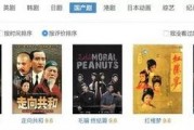 国产在线观看精品